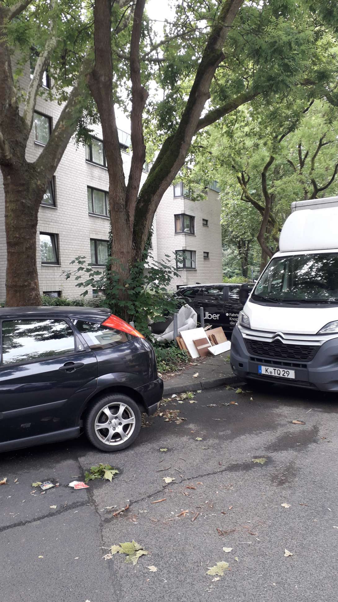 Bild zu gemeldetem Anliegen vom *2025-06-17 14:47:01