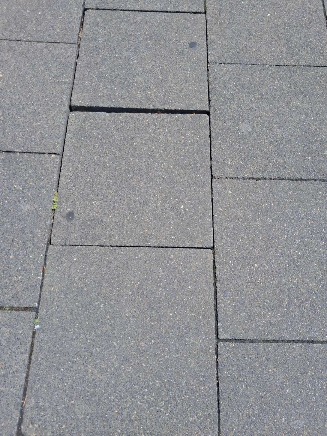 Zuzüglich am randstreifwn zu den Gebäuden Anliegen vom *2025-06-26 12:31:50