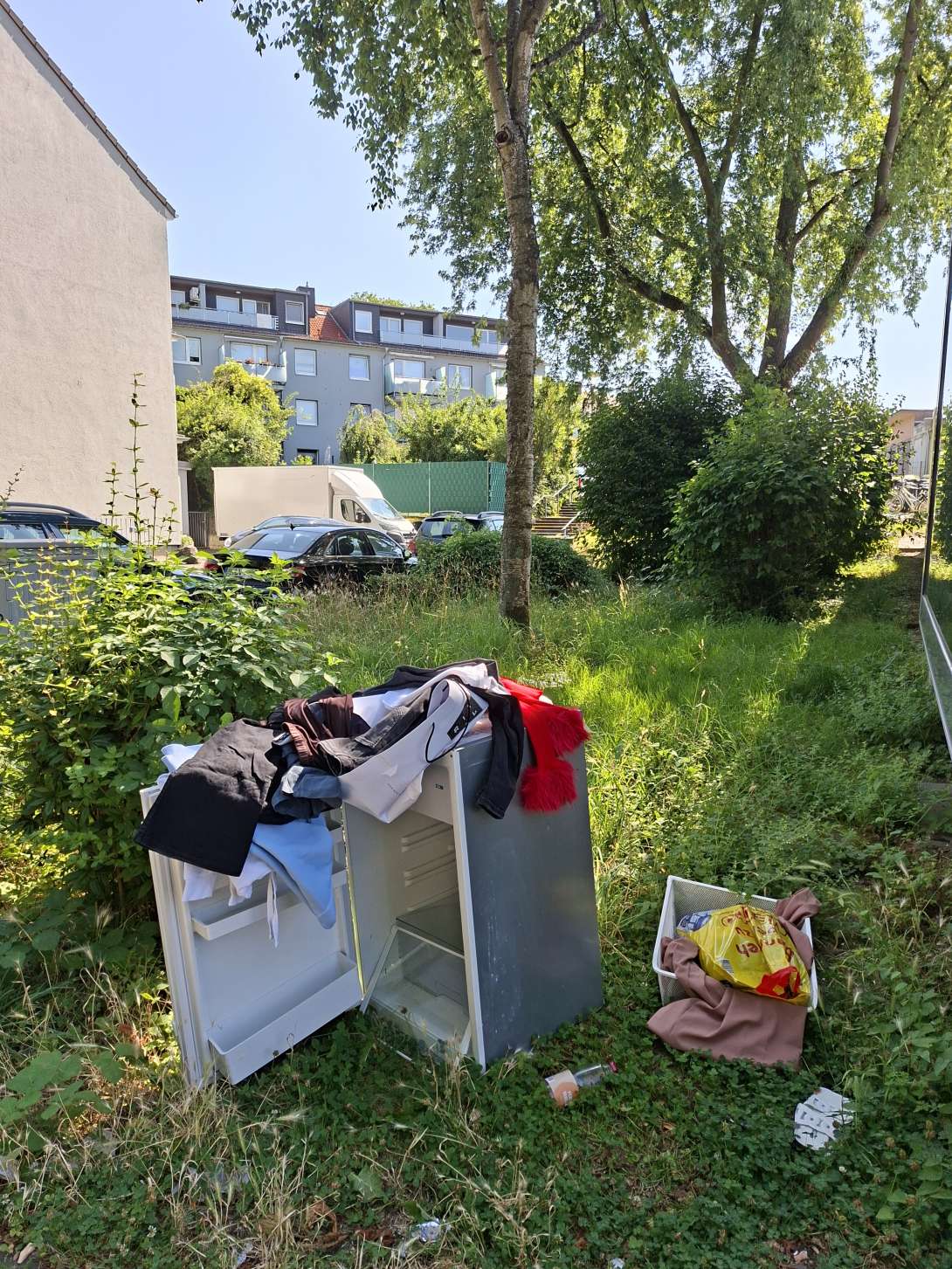 Bild zu gemeldetem Anliegen vom *2025-06-29 09:31:27
