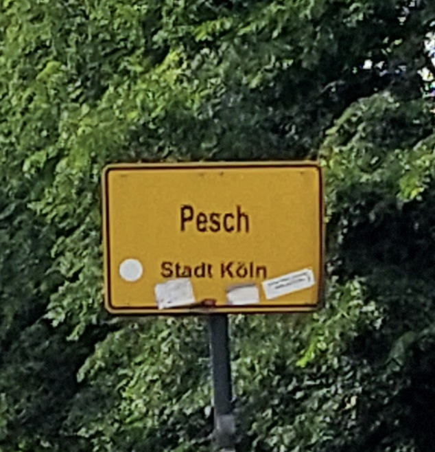Bild zu gemeldetem Anliegen vom *2025-06-06 21:27:23