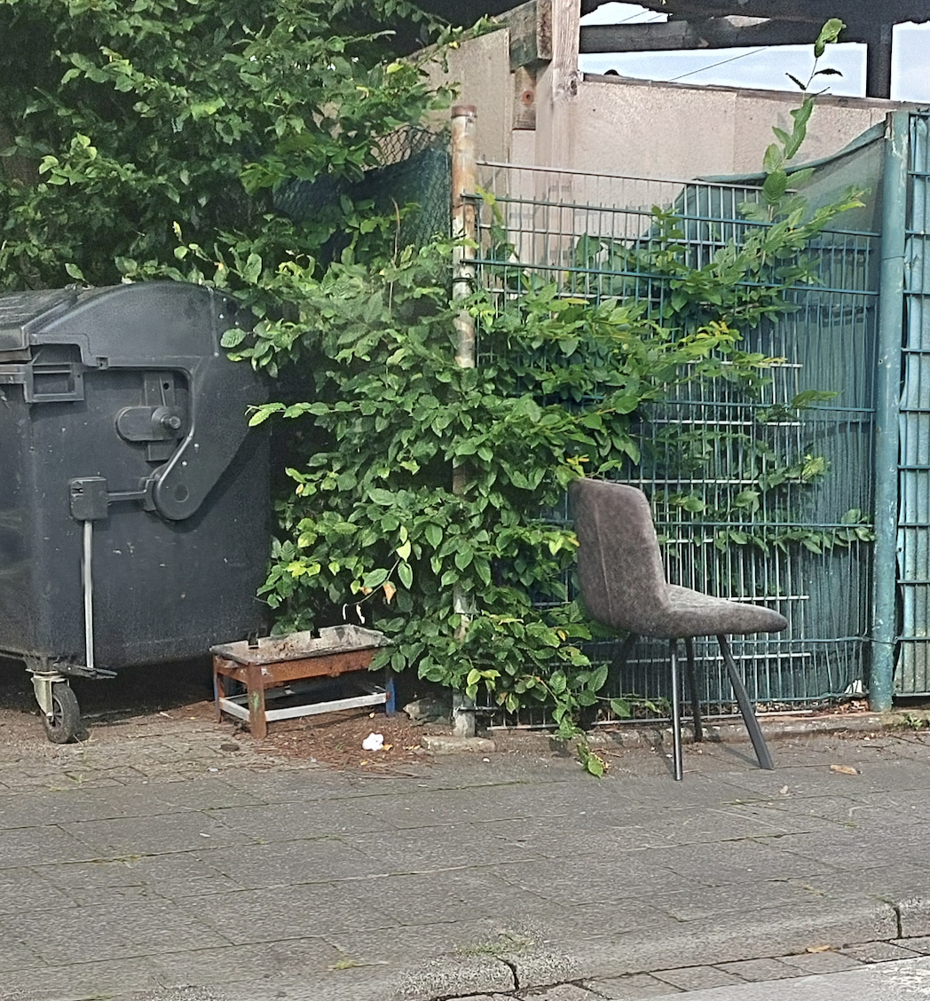 Bild zu gemeldetem Anliegen vom *2025-06-07 20:47:20