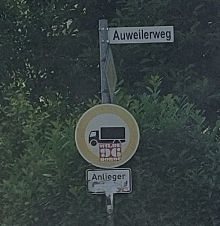 Bild zu gemeldetem Anliegen vom *2025-06-13 00:45:43
