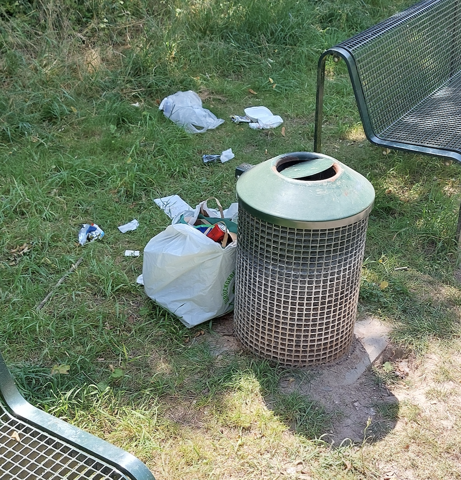 Bild zu gemeldetem Anliegen vom *2025-06-23 14:08:07