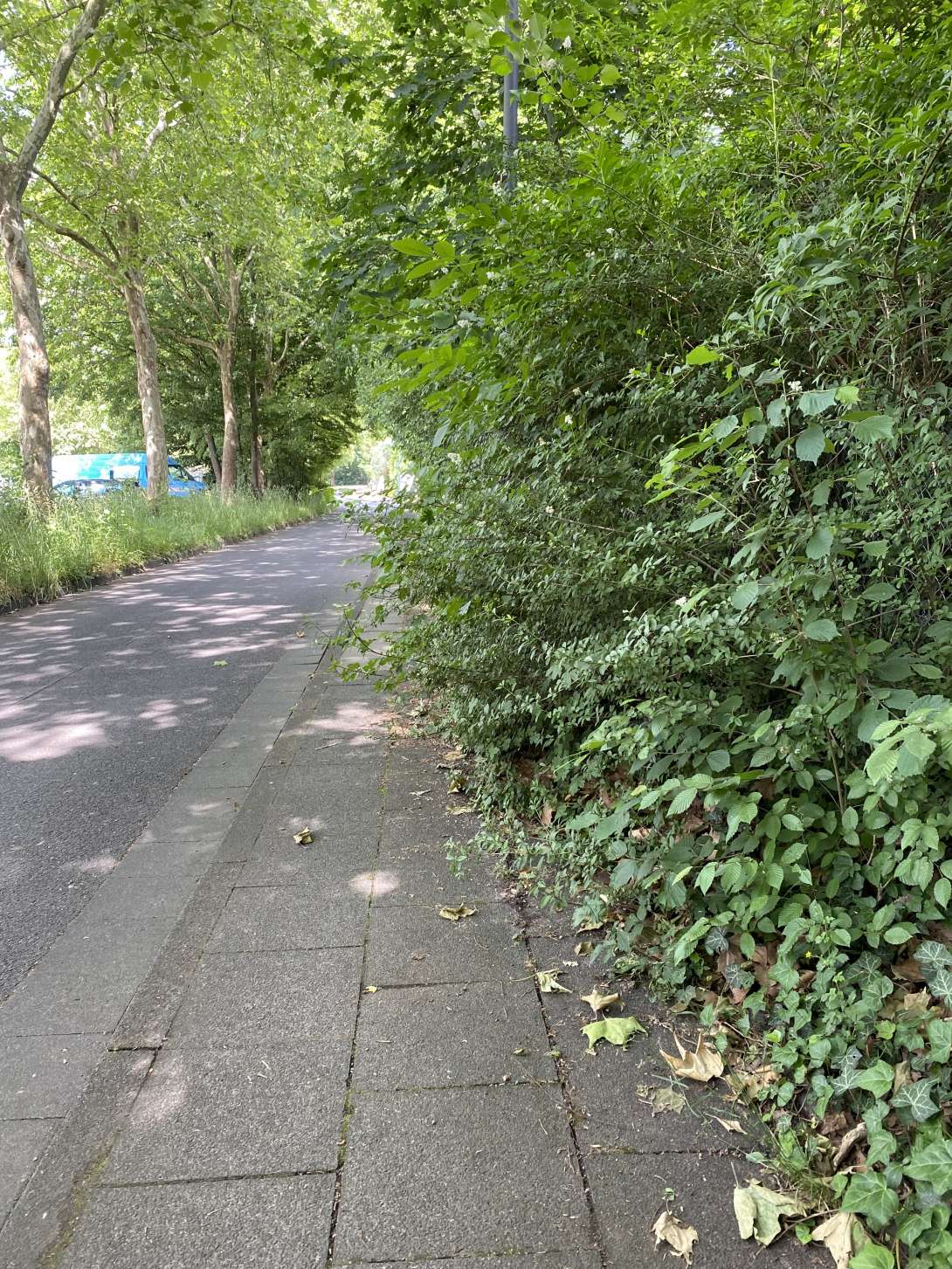 Bild zu gemeldetem Anliegen vom *2025-06-03 20:05:38