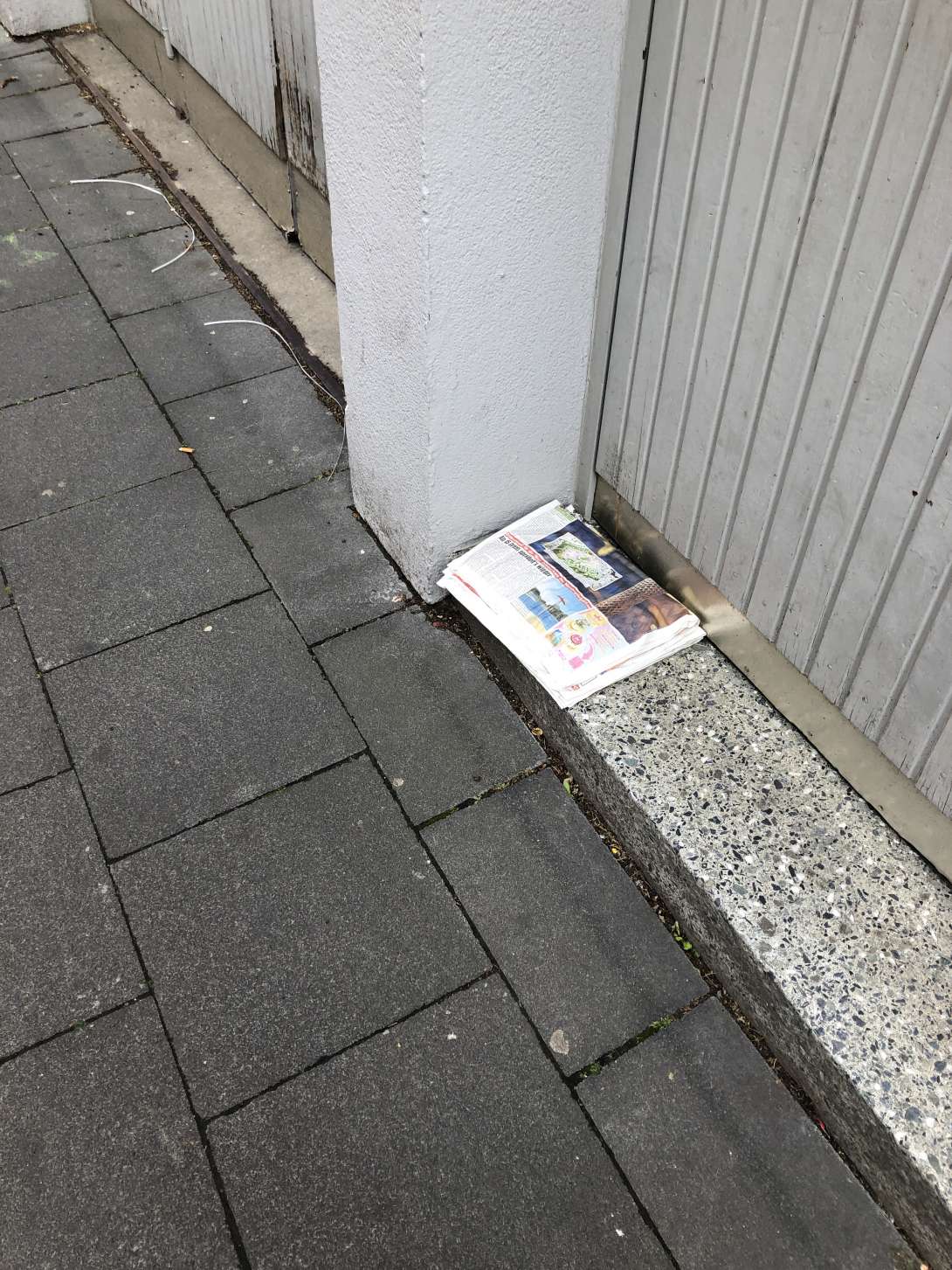 Bild zu gemeldetem Anliegen vom *2025-06-09 17:38:31