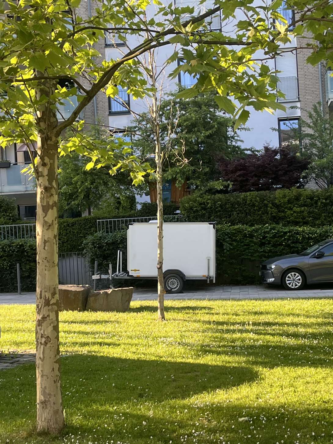 Bild zu gemeldetem Anliegen vom *2025-06-06 16:53:57