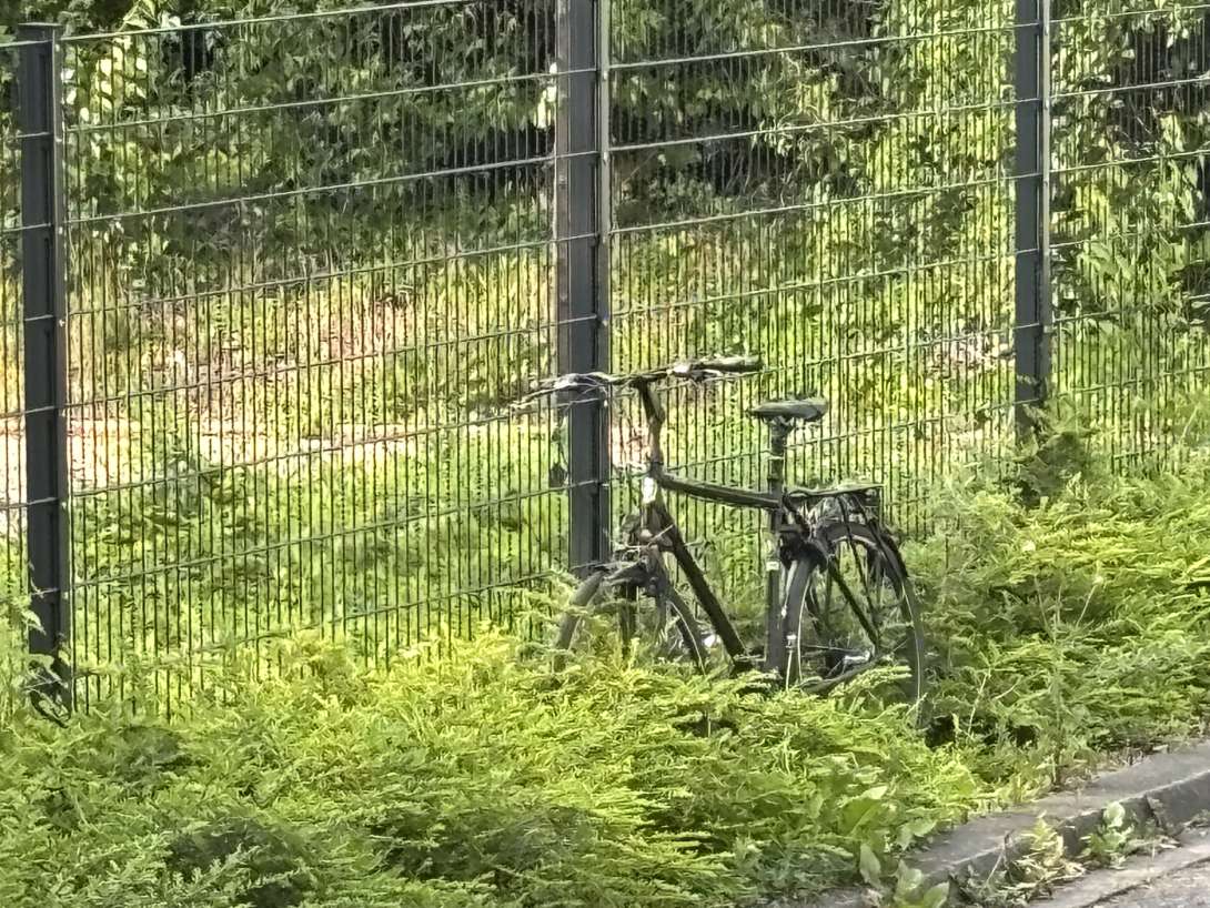Bild zu gemeldetem Anliegen vom *2025-06-10 18:27:37