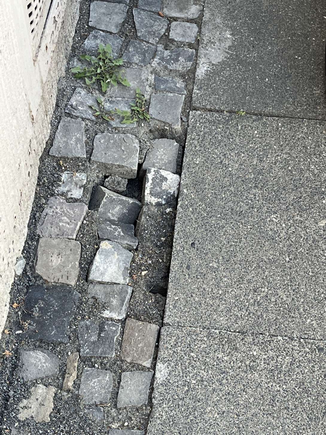 Bild zu gemeldetem Anliegen vom *2025-06-22 10:52:50