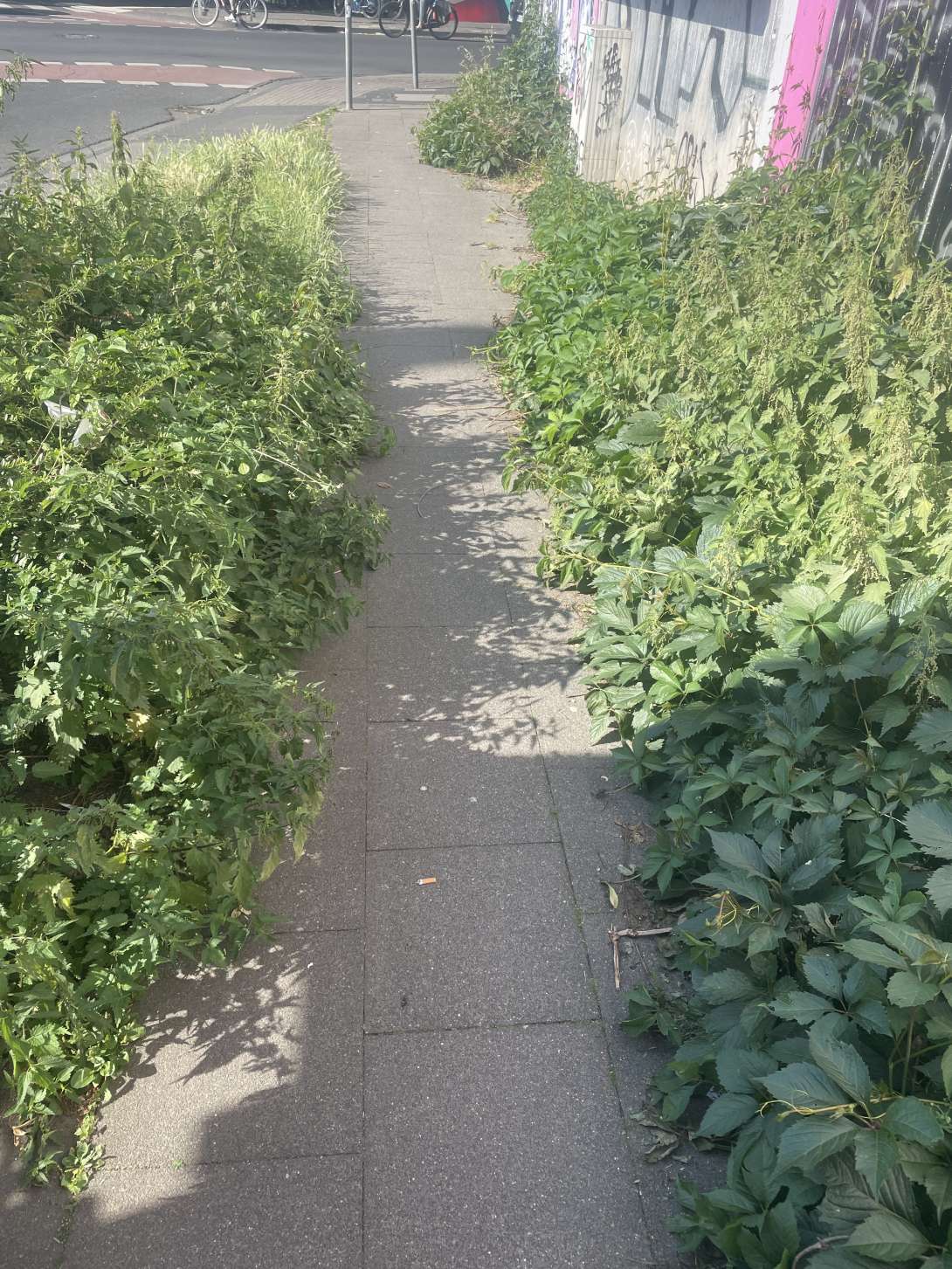 Bild zu gemeldetem Anliegen vom *2025-06-21 20:22:39