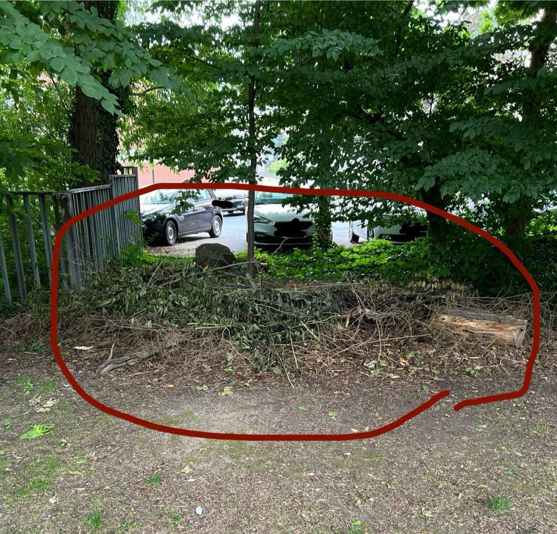 Bild zu gemeldetem Anliegen vom *2025-06-12 05:18:54