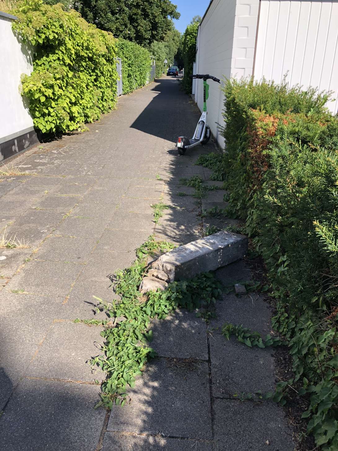 Bild zu gemeldetem Anliegen vom *2025-06-29 09:31:27