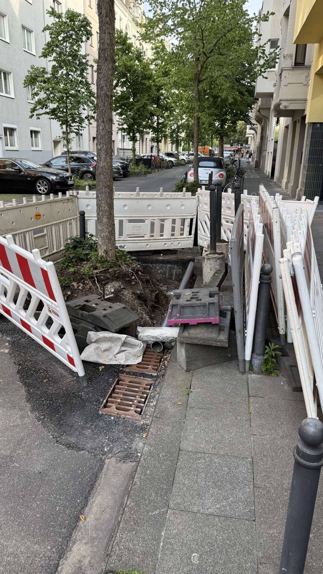 Bild zu gemeldetem Anliegen vom *2025-06-18 09:24:24