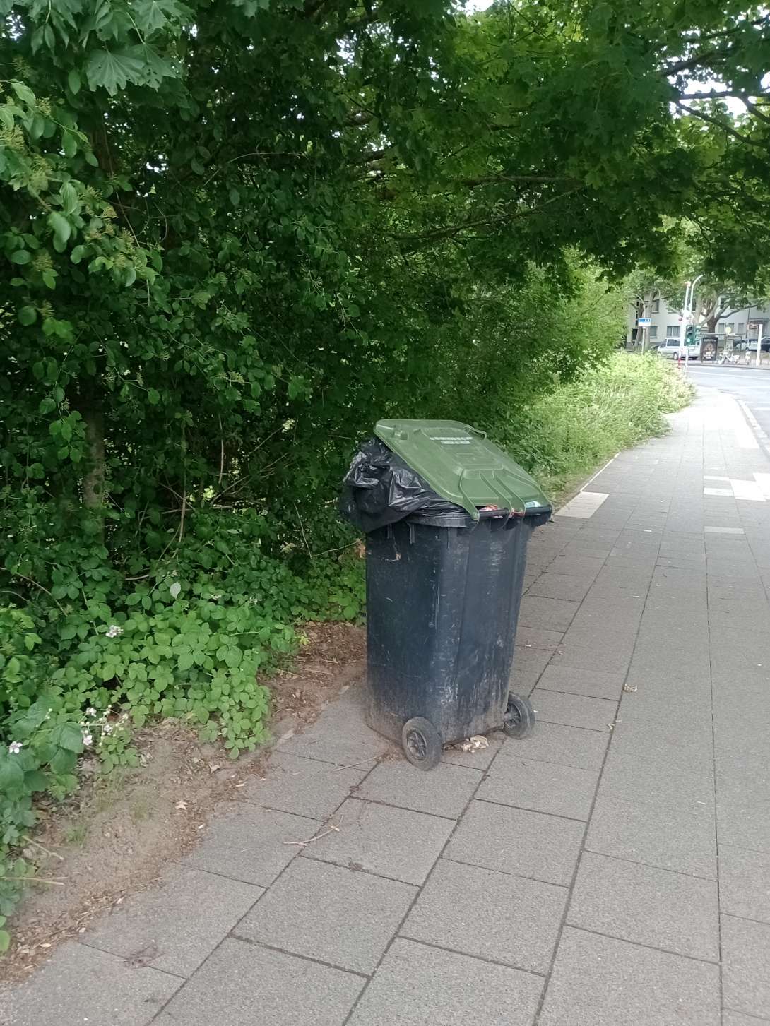 Bild zu gemeldetem Anliegen vom *2025-06-13 14:53:27