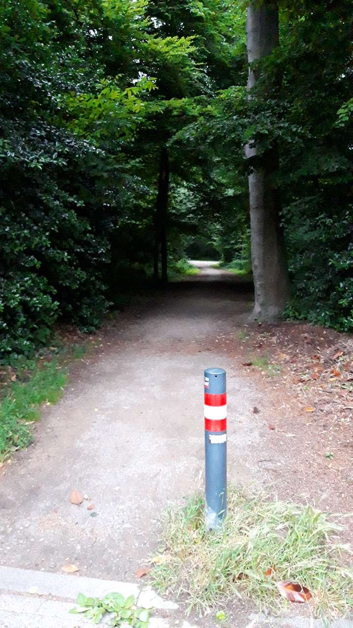 Bild zu gemeldetem Anliegen vom *2025-06-10 15:39:37