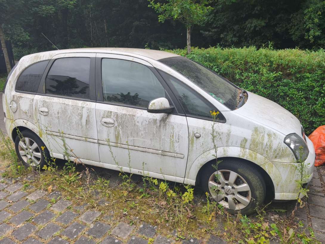 Bild zu gemeldetem Anliegen vom *2025-06-25 09:29:30