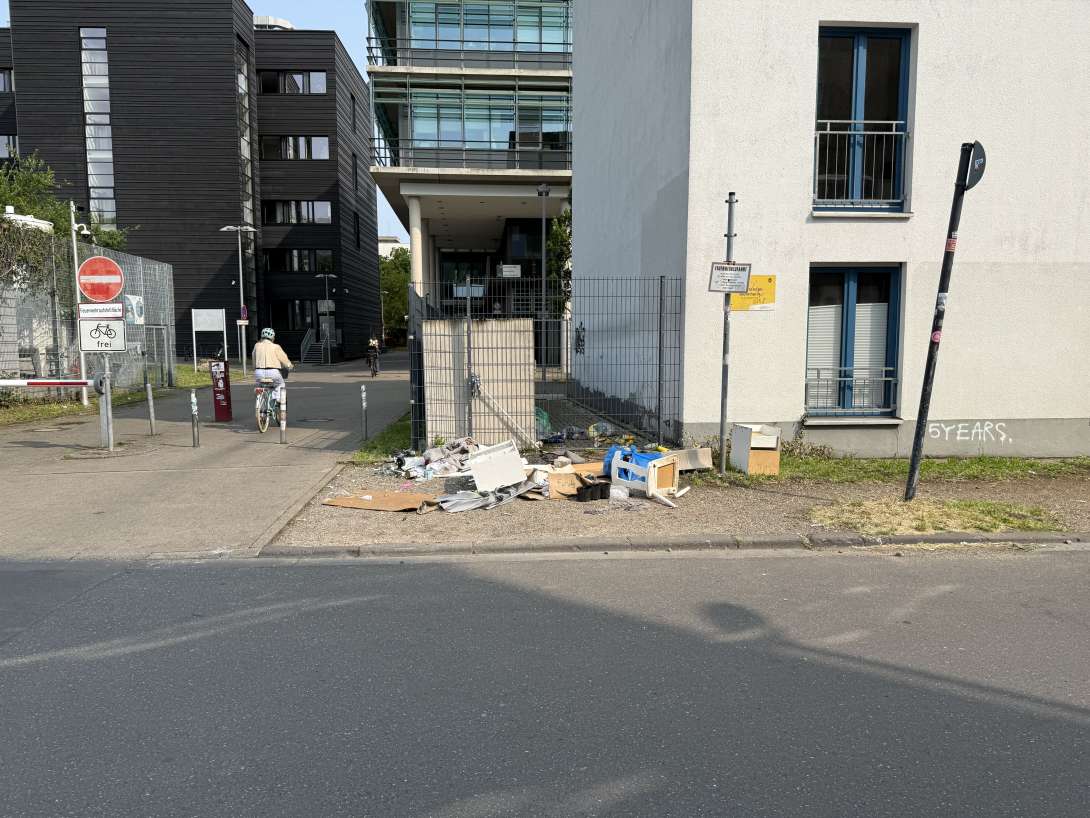 Bild zu gemeldetem Anliegen vom *2025-06-10 10:15:33