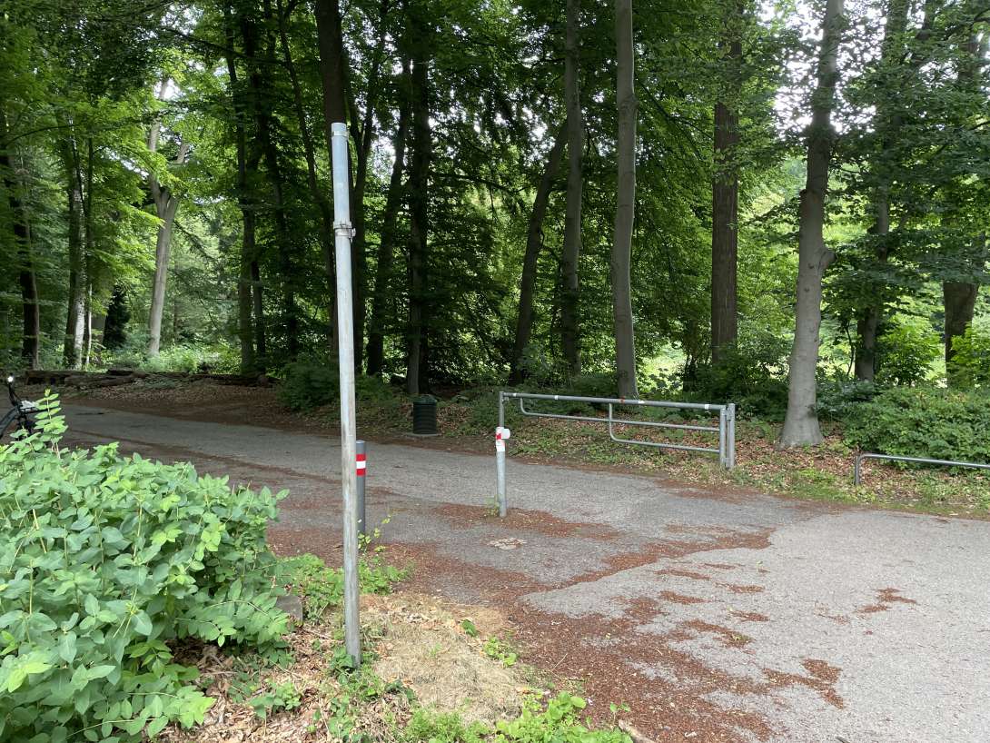 Bild zu gemeldetem Anliegen vom *2025-06-04 16:48:15