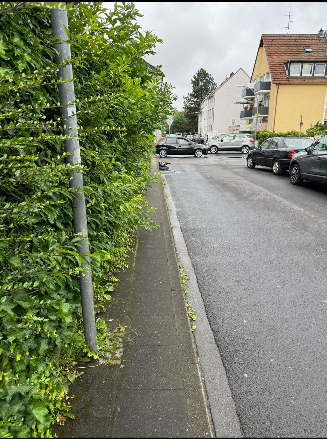Bild zu gemeldetem Anliegen vom *2025-06-15 09:46:57