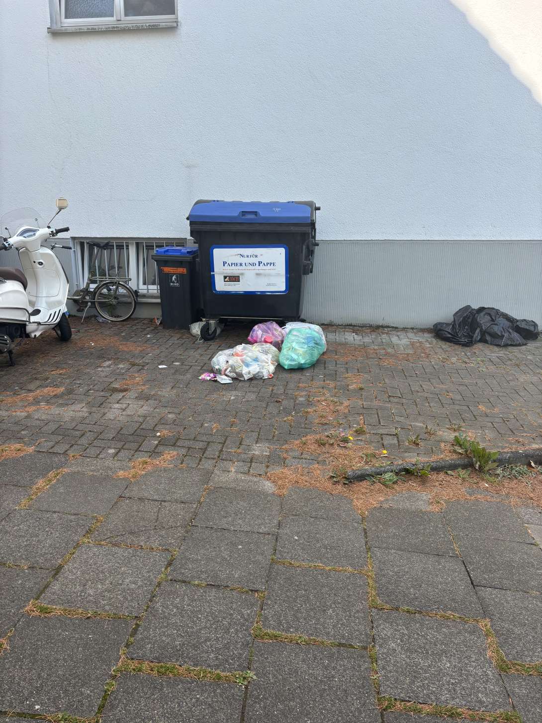Bild zu gemeldetem Anliegen vom *2025-06-23 09:08:07