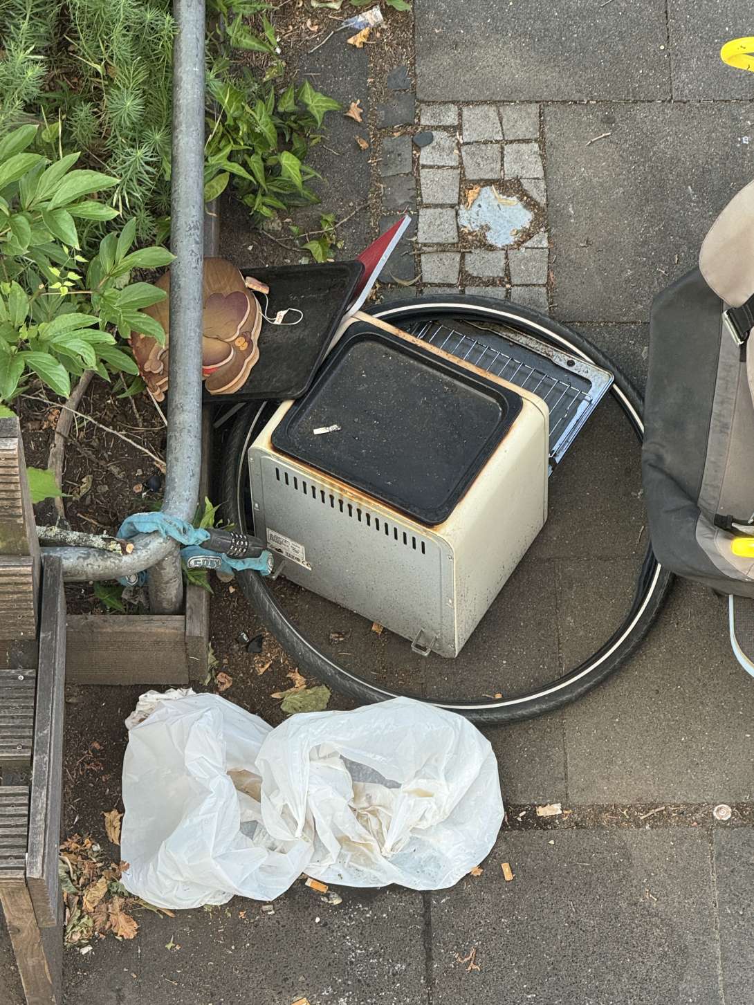 Bild zu gemeldetem Anliegen vom *2025-06-30 08:42:55