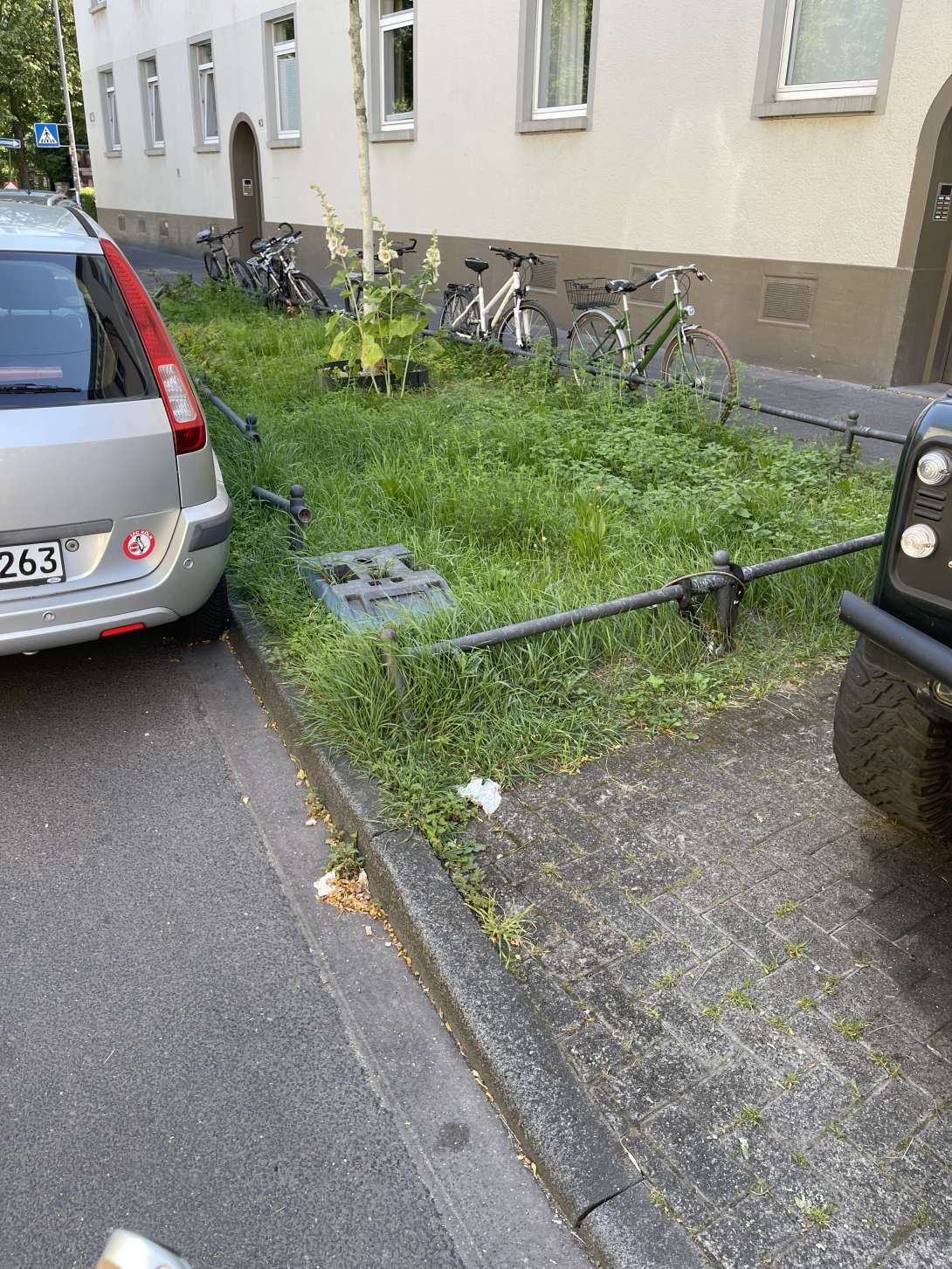 Bild zu gemeldetem Anliegen vom *2025-06-23 07:25:08