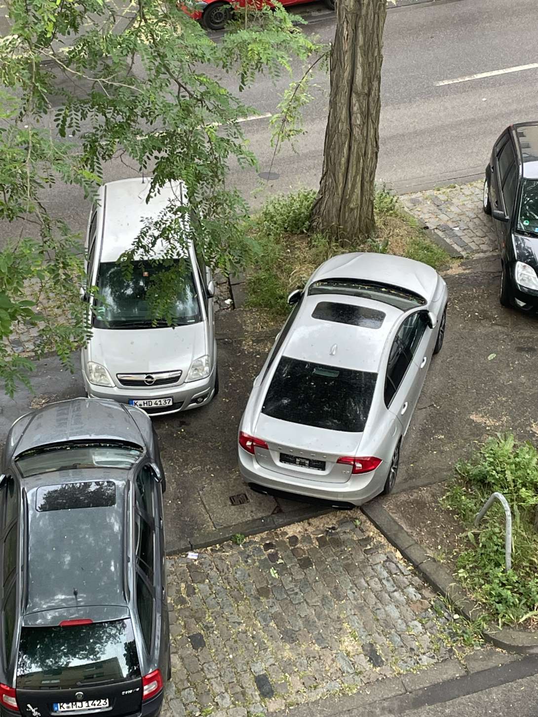Bild zu gemeldetem Anliegen vom *2025-06-05 06:31:49