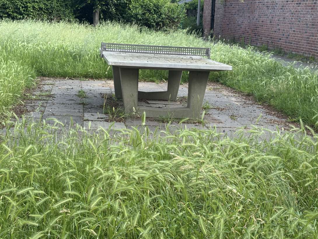 Bild zu gemeldetem Anliegen vom *2025-06-03 18:46:16