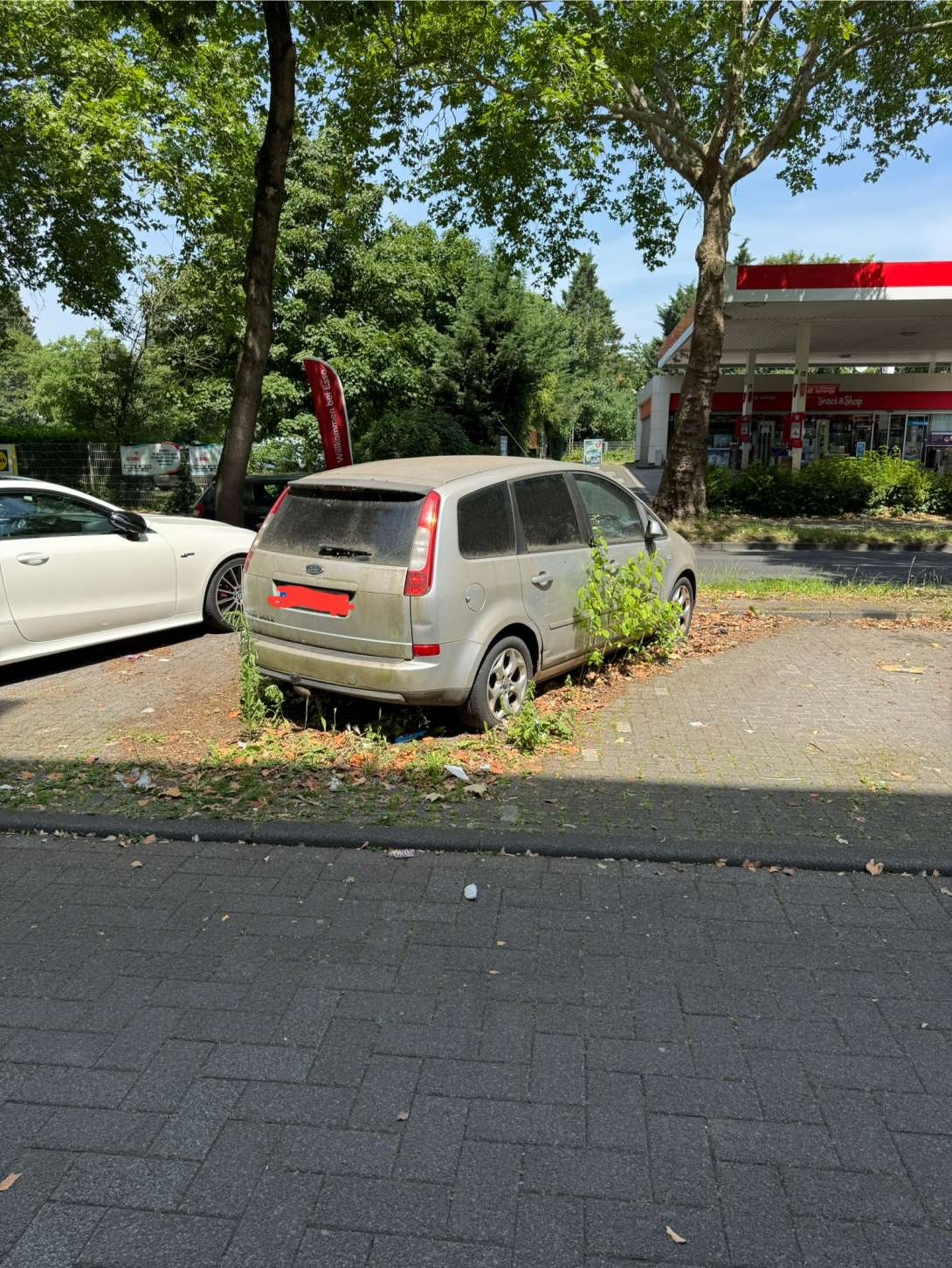 Bild zu gemeldetem Anliegen vom *2025-06-22 12:28:18