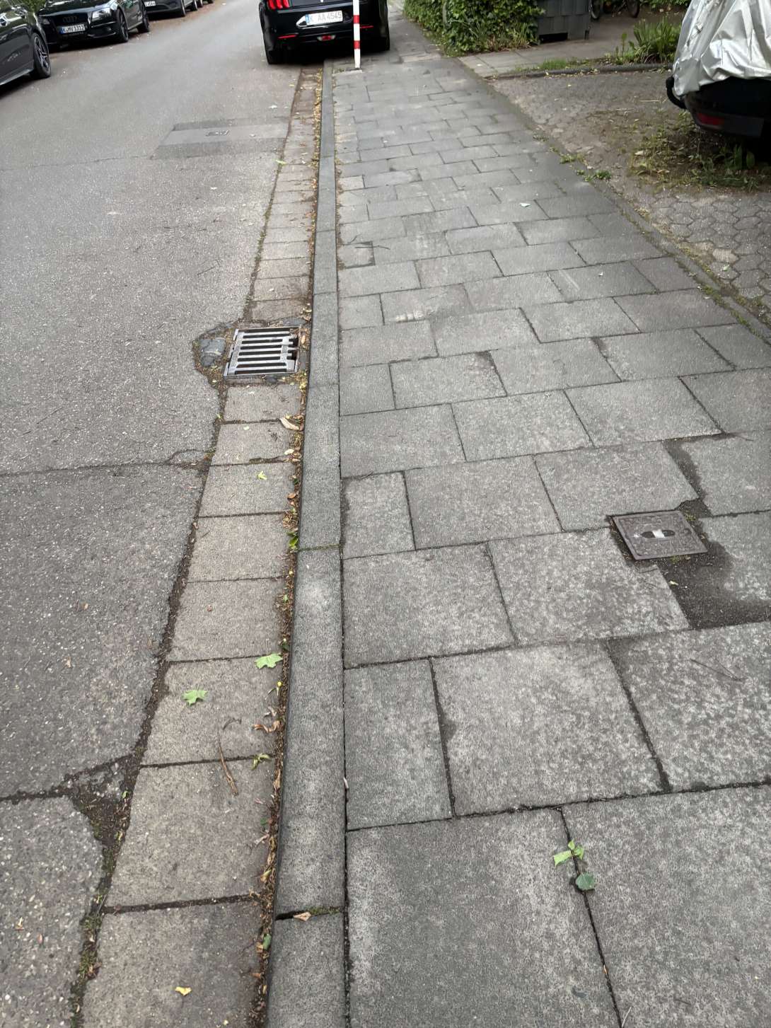 Bild zu gemeldetem Anliegen vom *2025-06-16 19:11:18