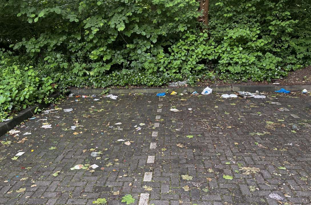 Bild zu gemeldetem Anliegen vom *2025-06-01 19:41:55