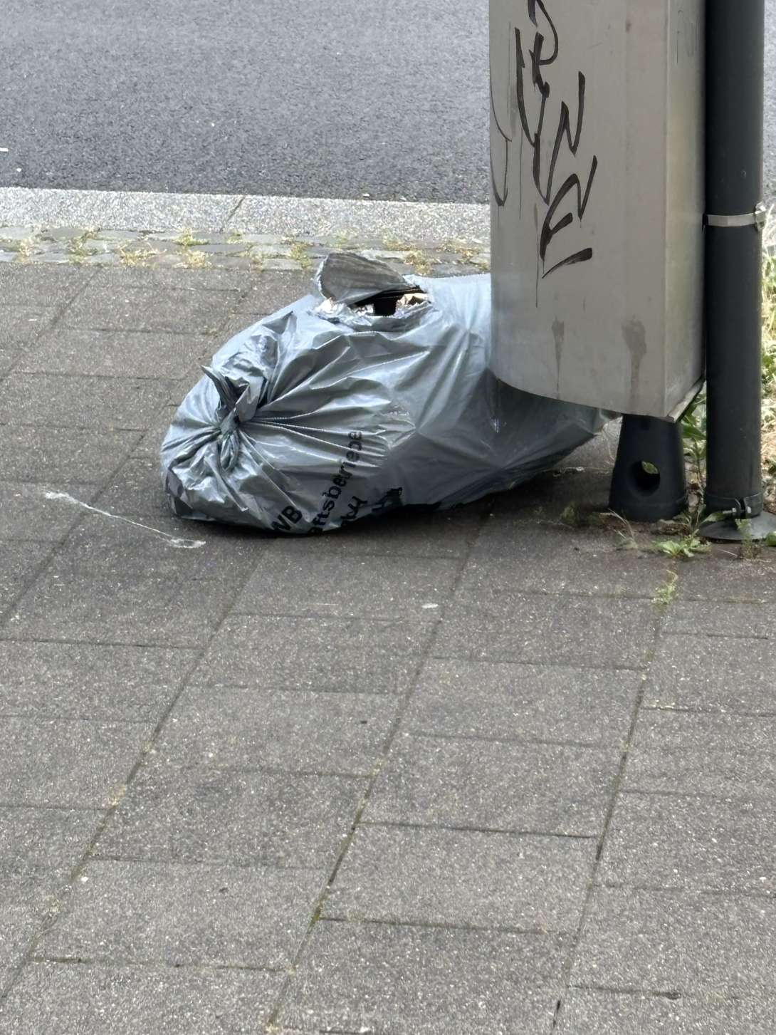 Bild zu gemeldetem Anliegen vom *2025-06-23 13:13:10