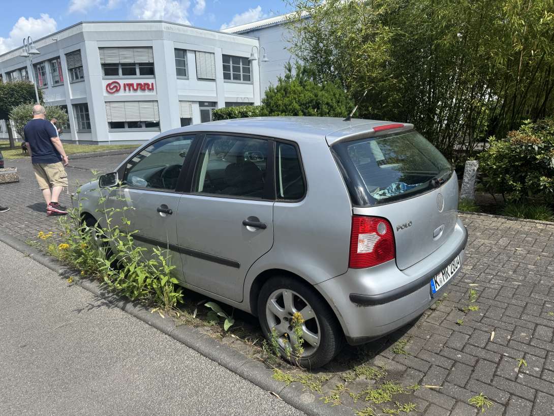 Bild zu gemeldetem Anliegen vom *2025-06-17 09:32:12