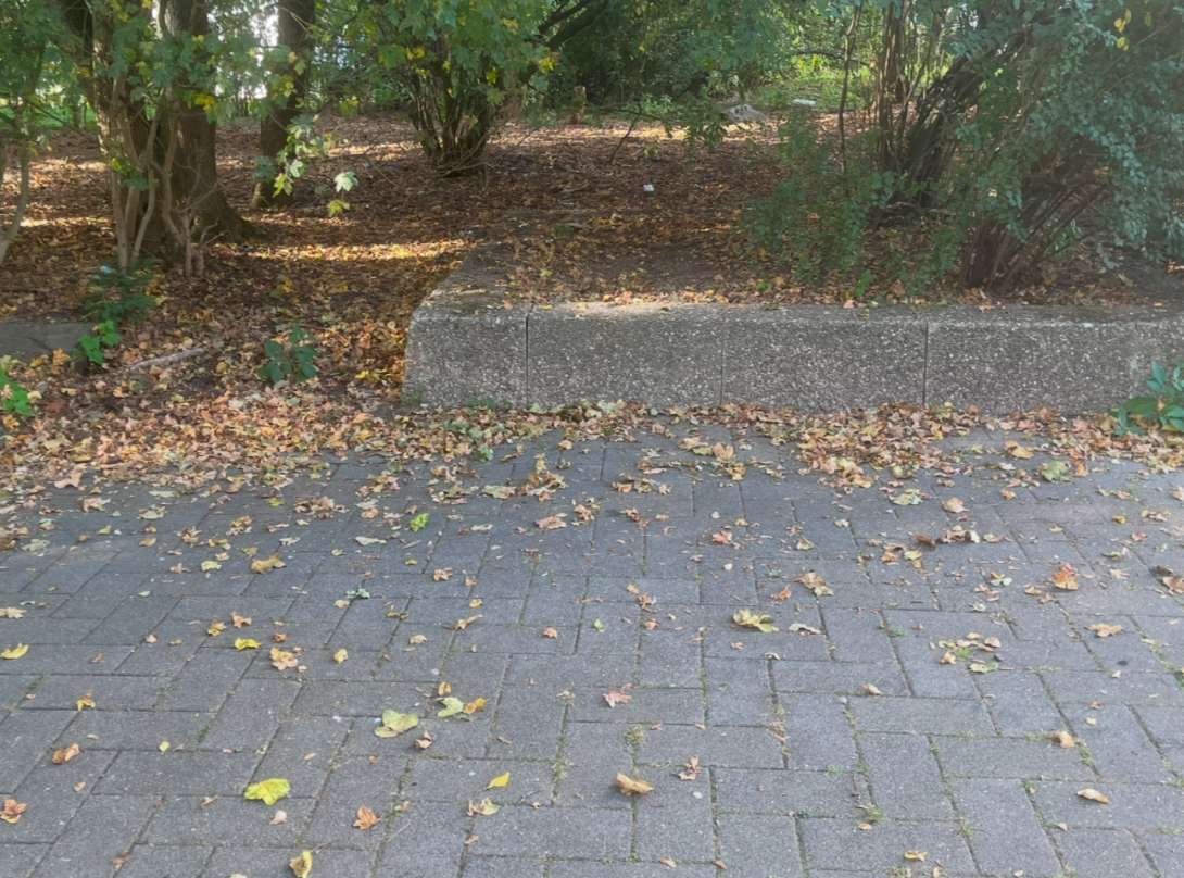 Bild zu gemeldetem Anliegen vom *2025-06-28 00:31:25