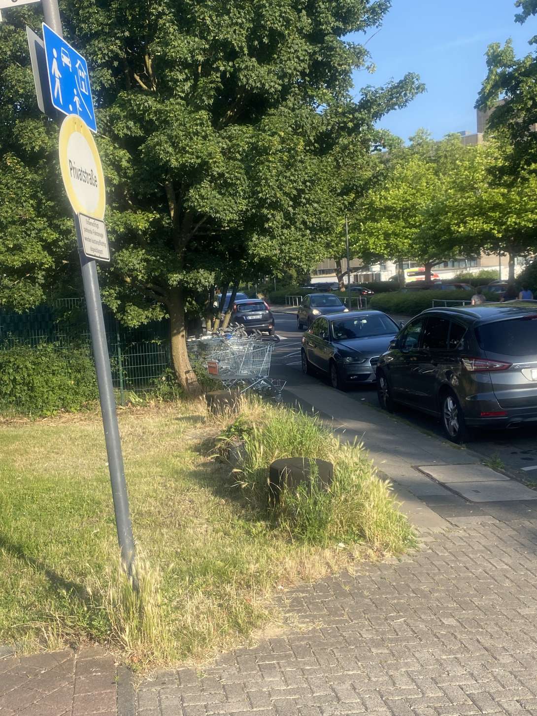 Bild zu gemeldetem Anliegen vom *2025-06-19 07:43:48
