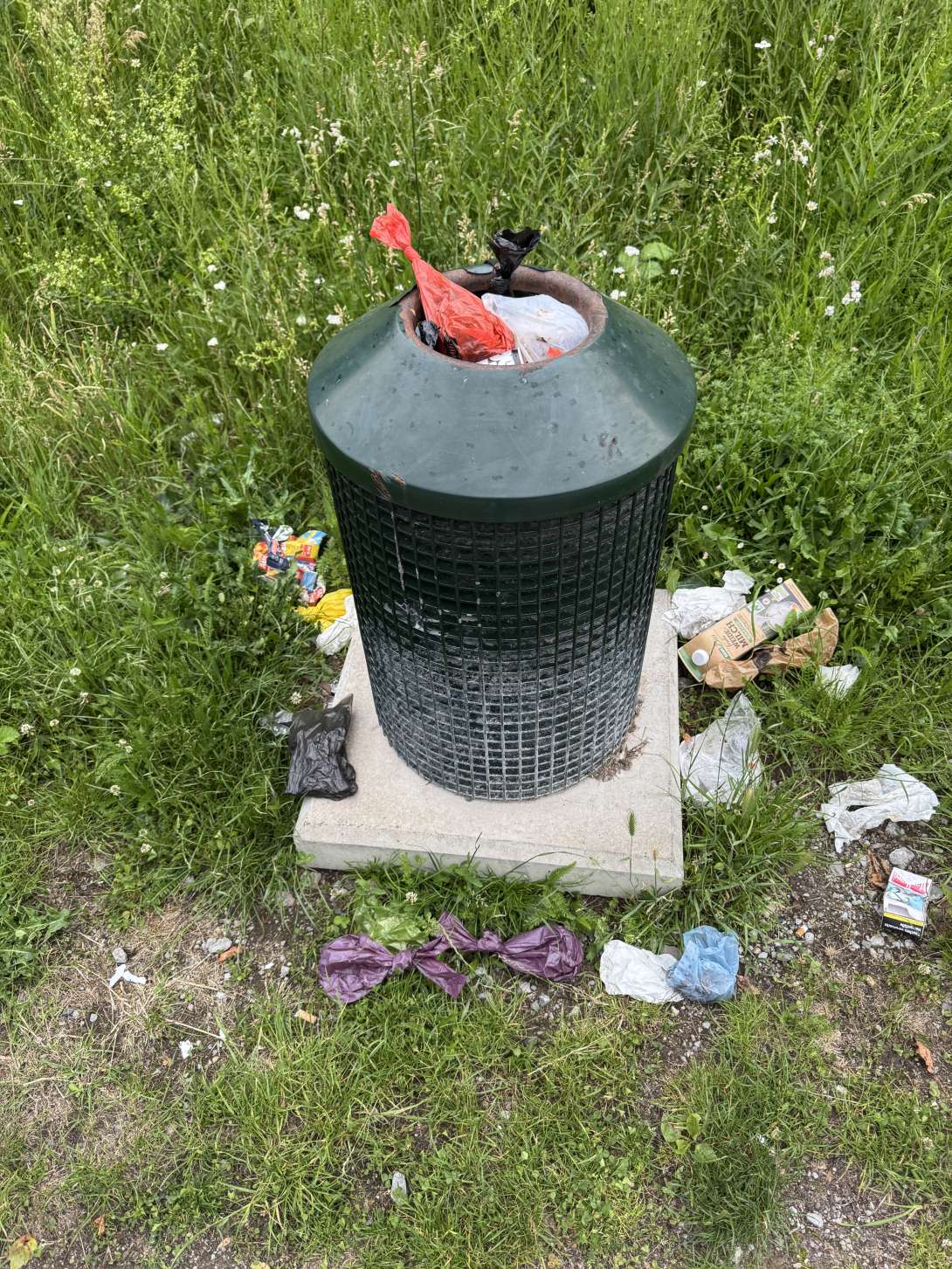 Bild zu gemeldetem Anliegen vom *2025-06-10 21:20:34