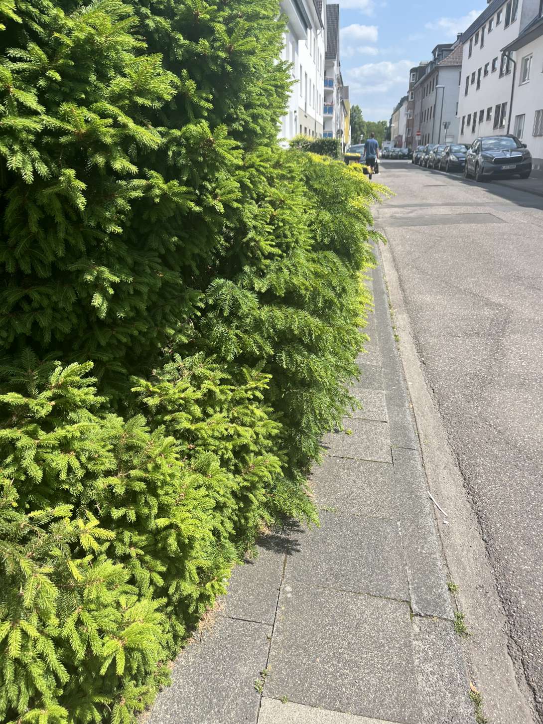 Bild zu gemeldetem Anliegen vom *2025-06-03 16:47:02