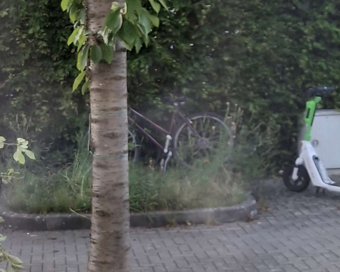 Bild zu gemeldetem Anliegen vom *2025-06-09 19:10:52