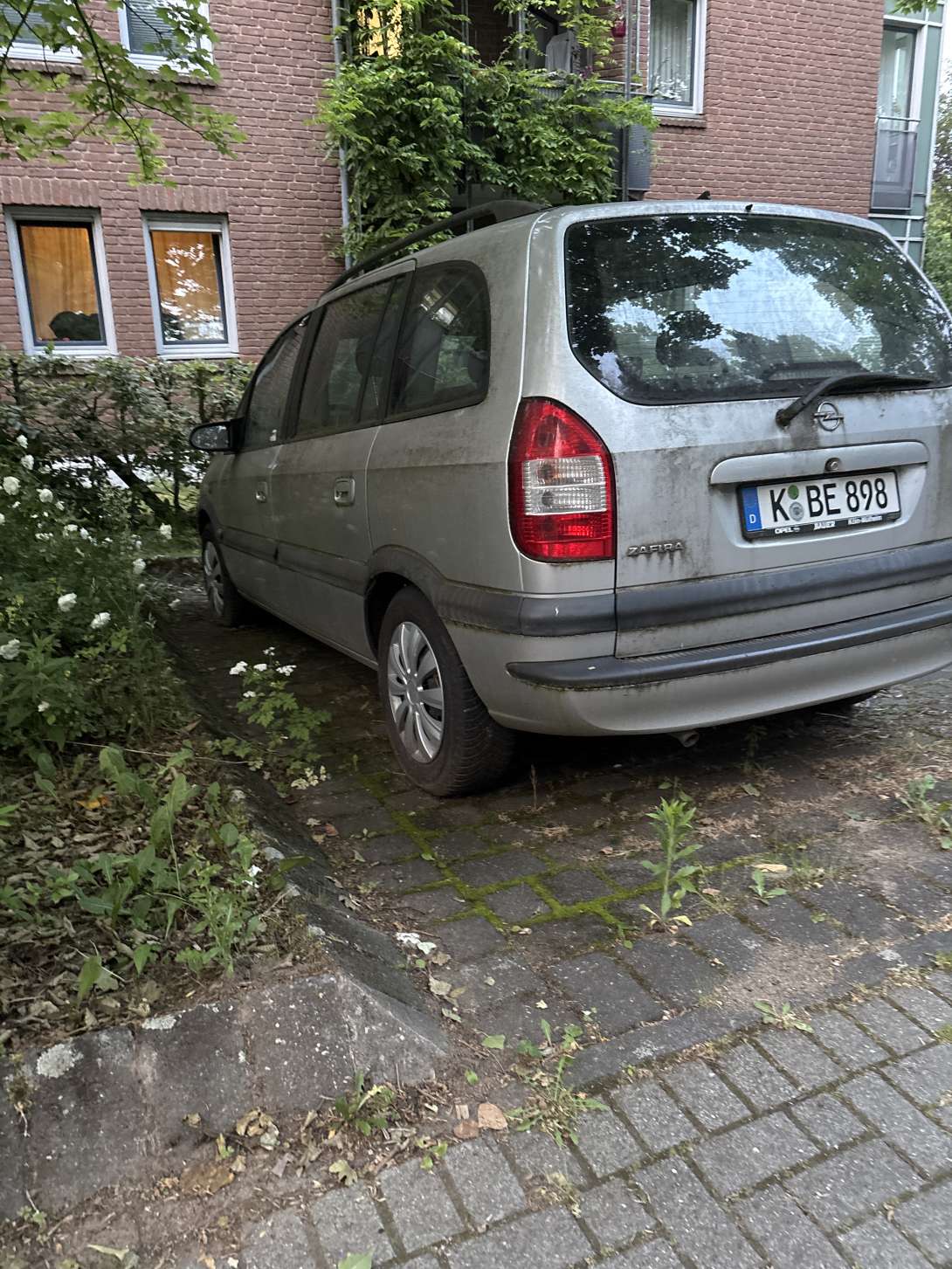 Bild zu gemeldetem Anliegen vom *2025-06-03 21:27:08