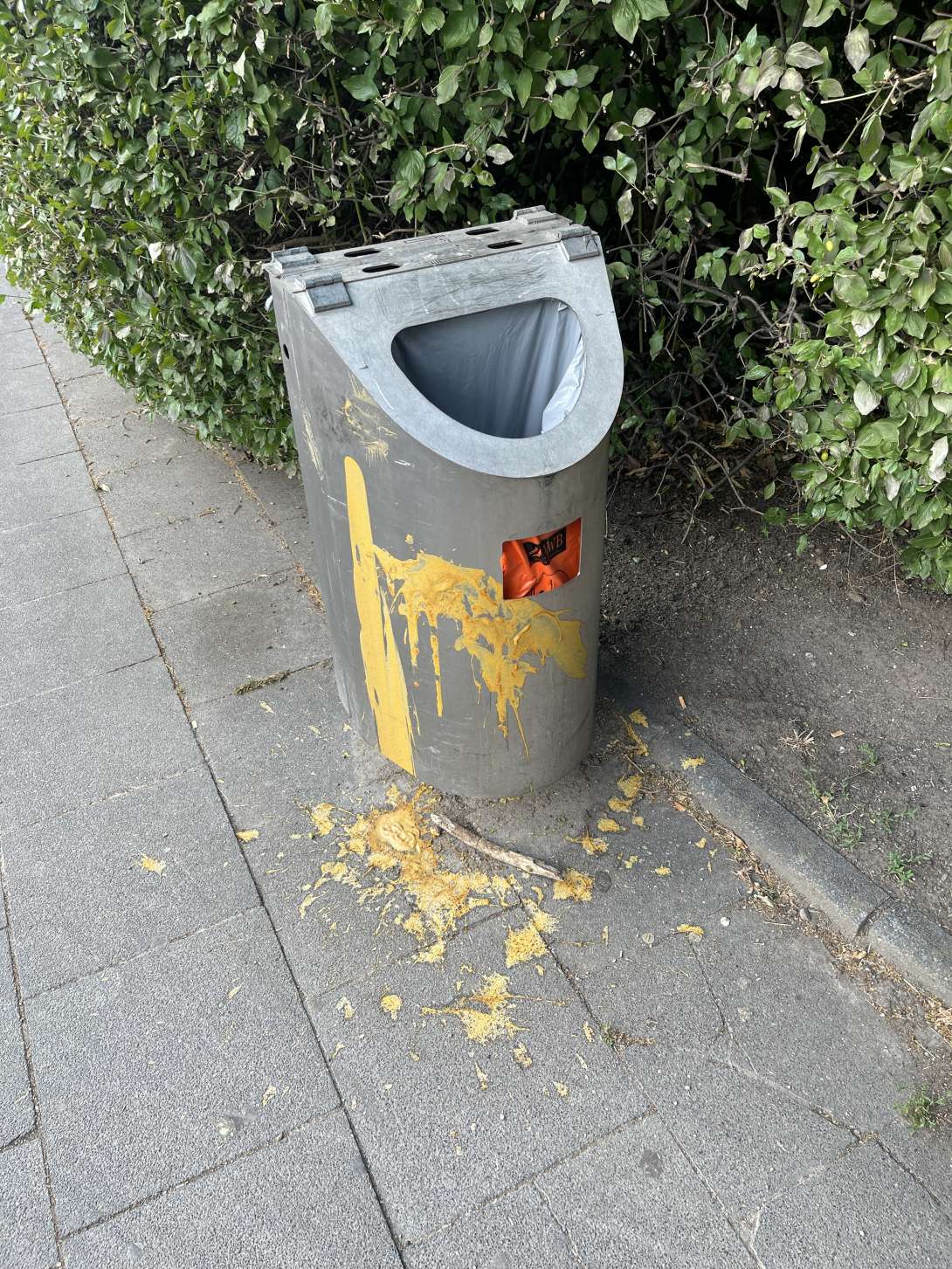 Bild zu gemeldetem Anliegen vom *2025-06-24 09:28:58