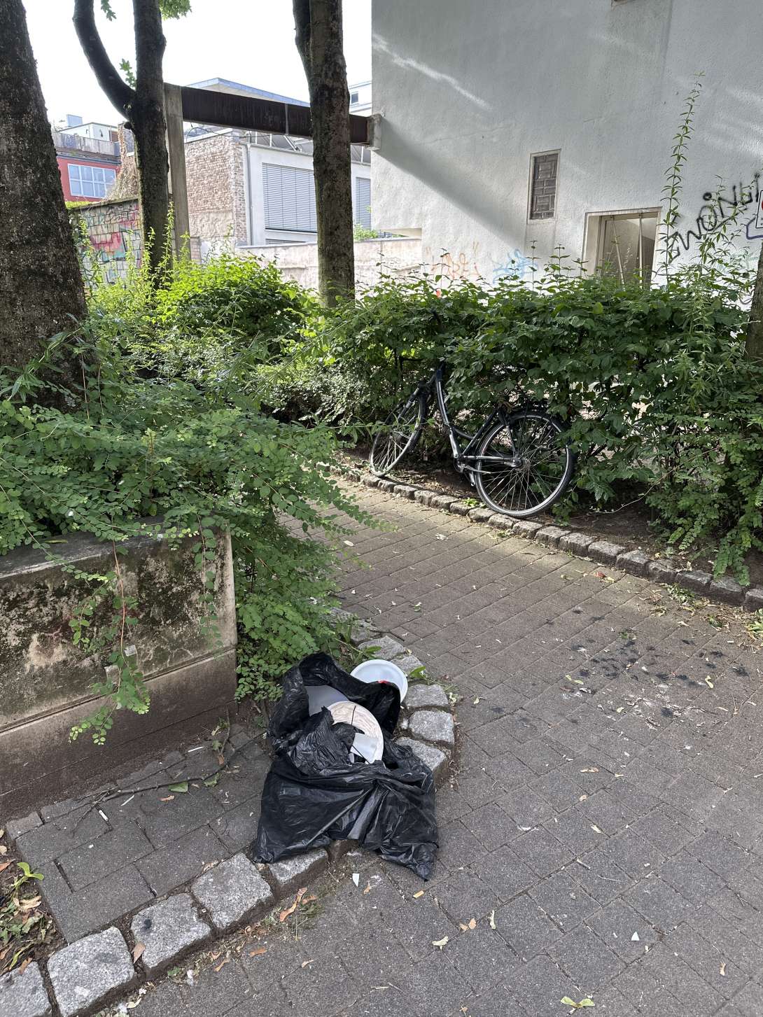 Bild zu gemeldetem Anliegen vom *2025-06-24 06:31:37