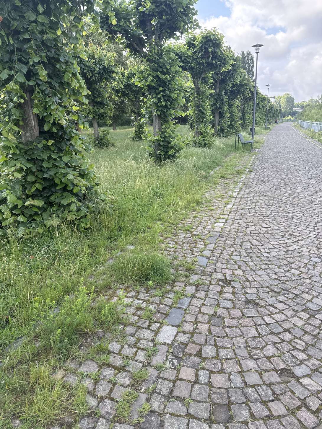Bild zu gemeldetem Anliegen vom *2025-06-11 08:42:46