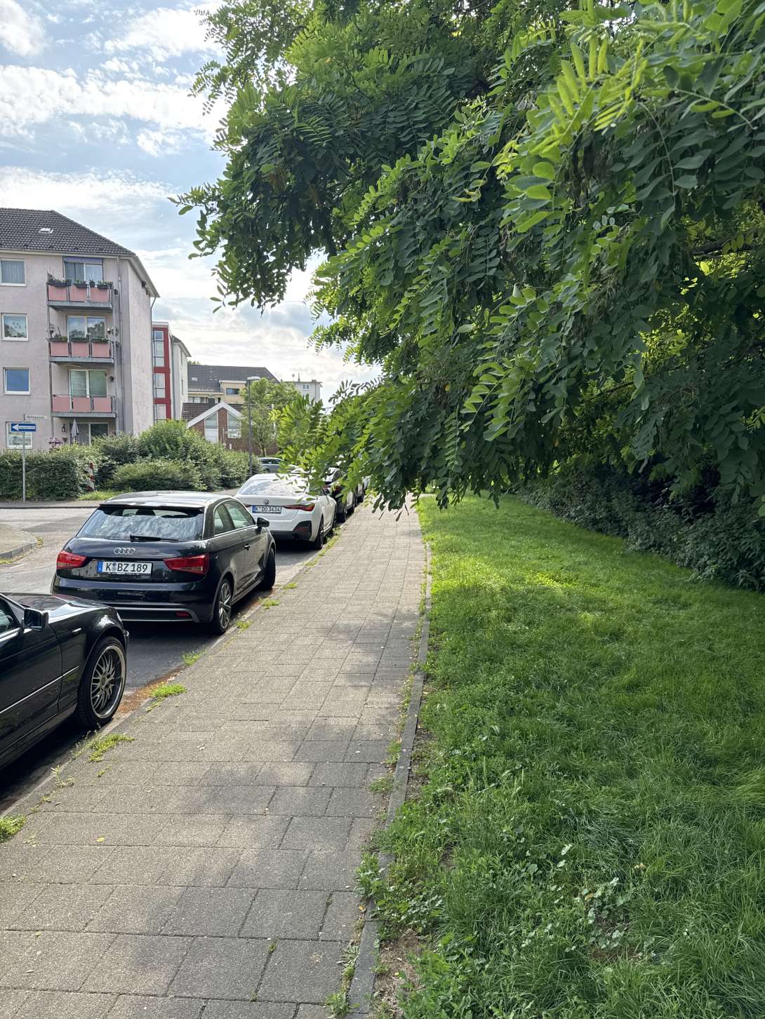 Bild zu gemeldetem Anliegen vom *2025-06-15 17:39:01