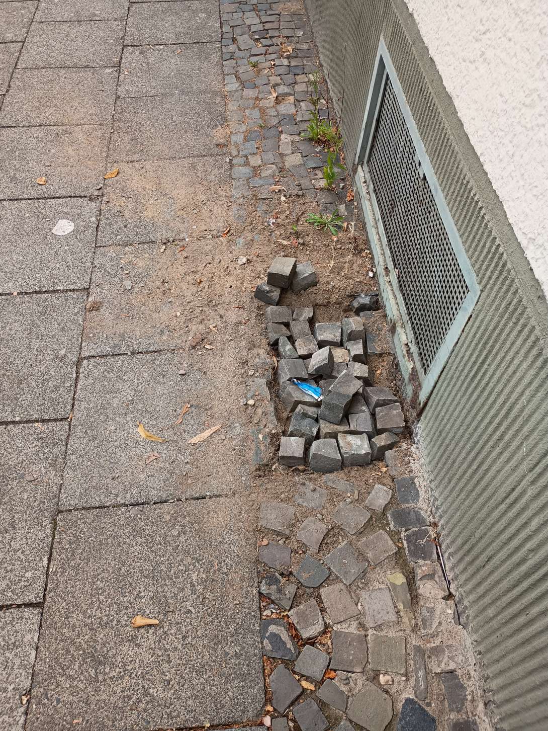 Bild zu gemeldetem Anliegen vom *2025-07-07 17:12:42