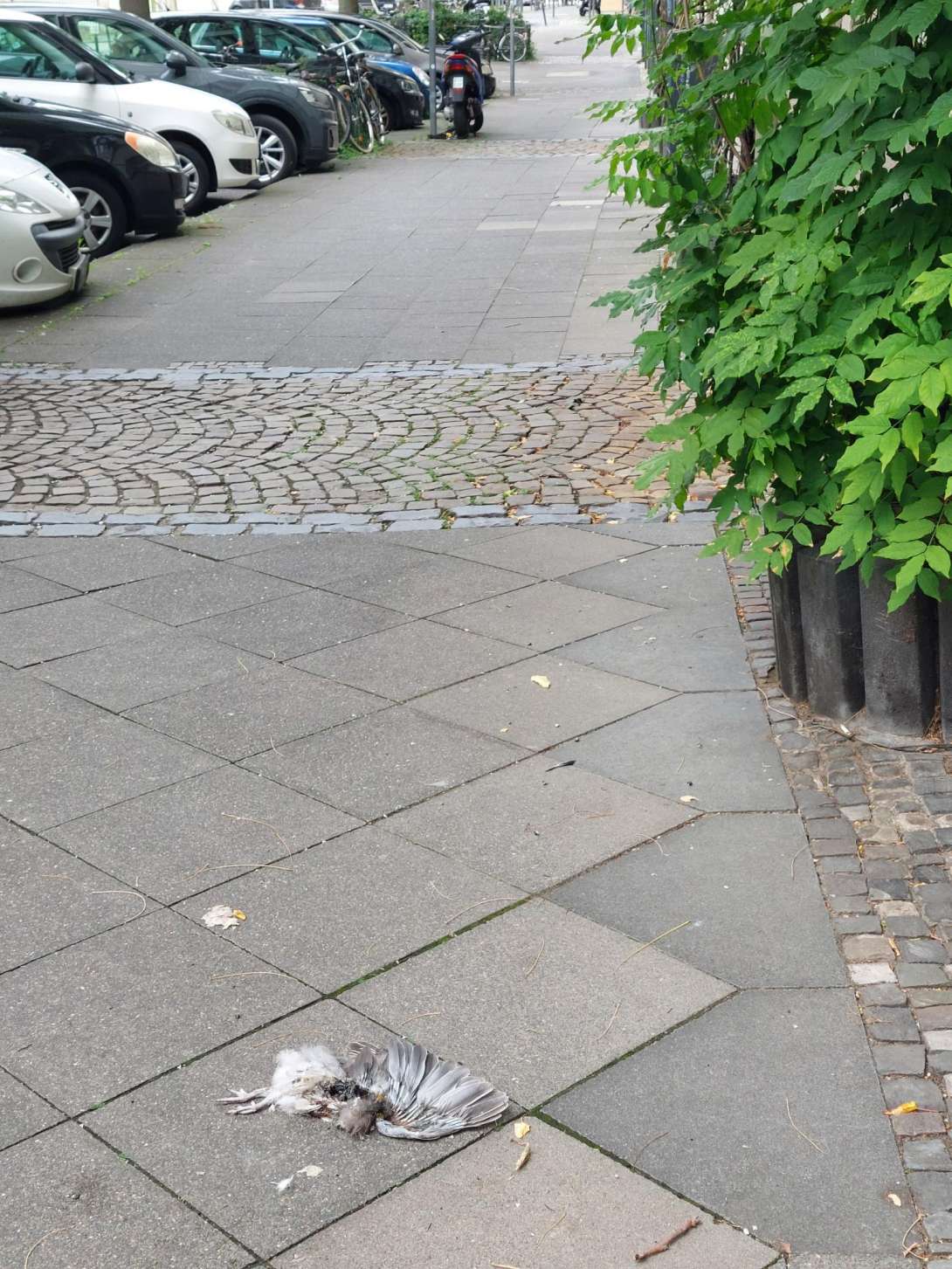 Bild zu gemeldetem Anliegen vom *2025-07-28 11:15:45