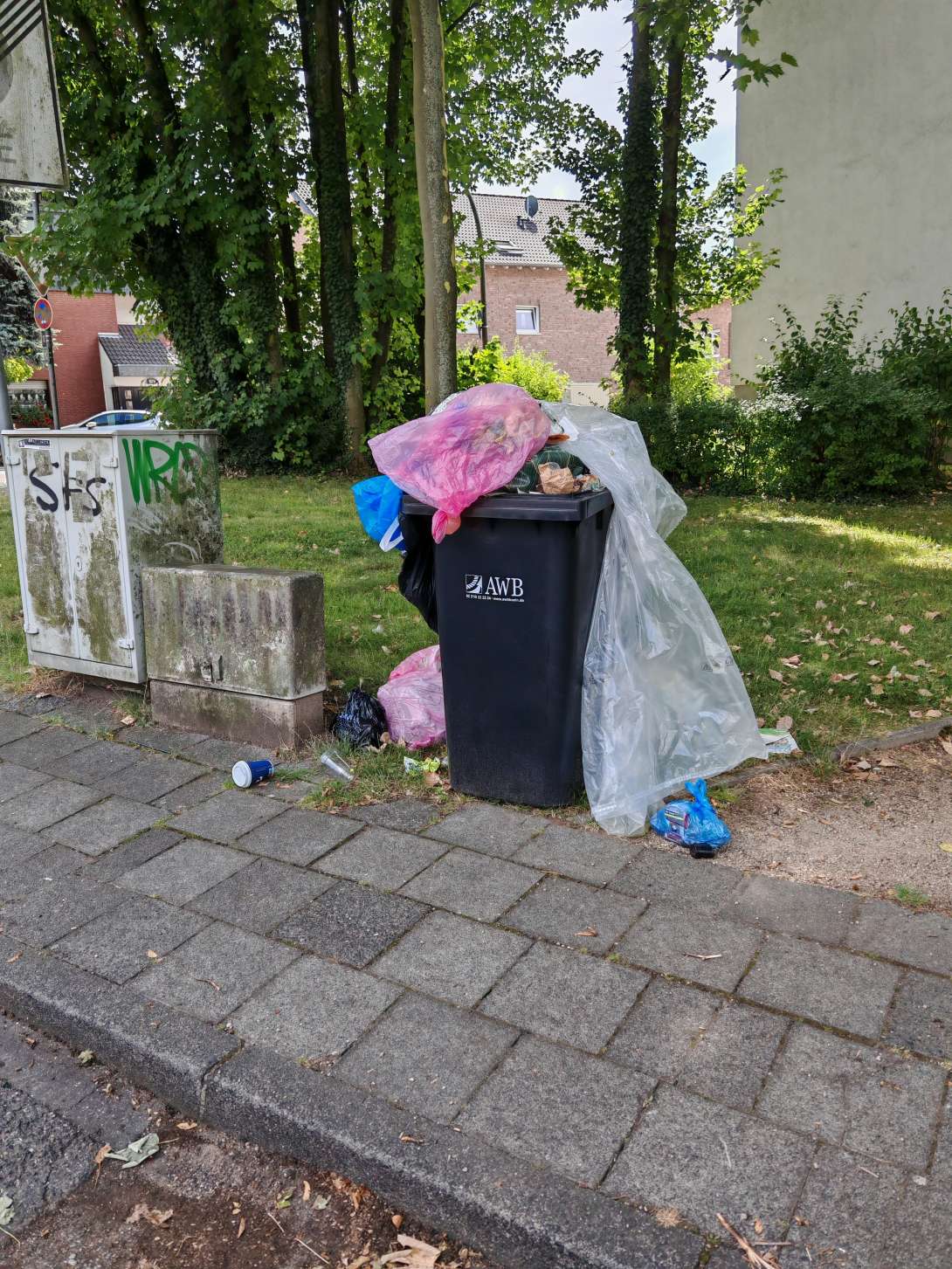 Bild zu gemeldetem Anliegen vom *2025-07-18 12:45:16