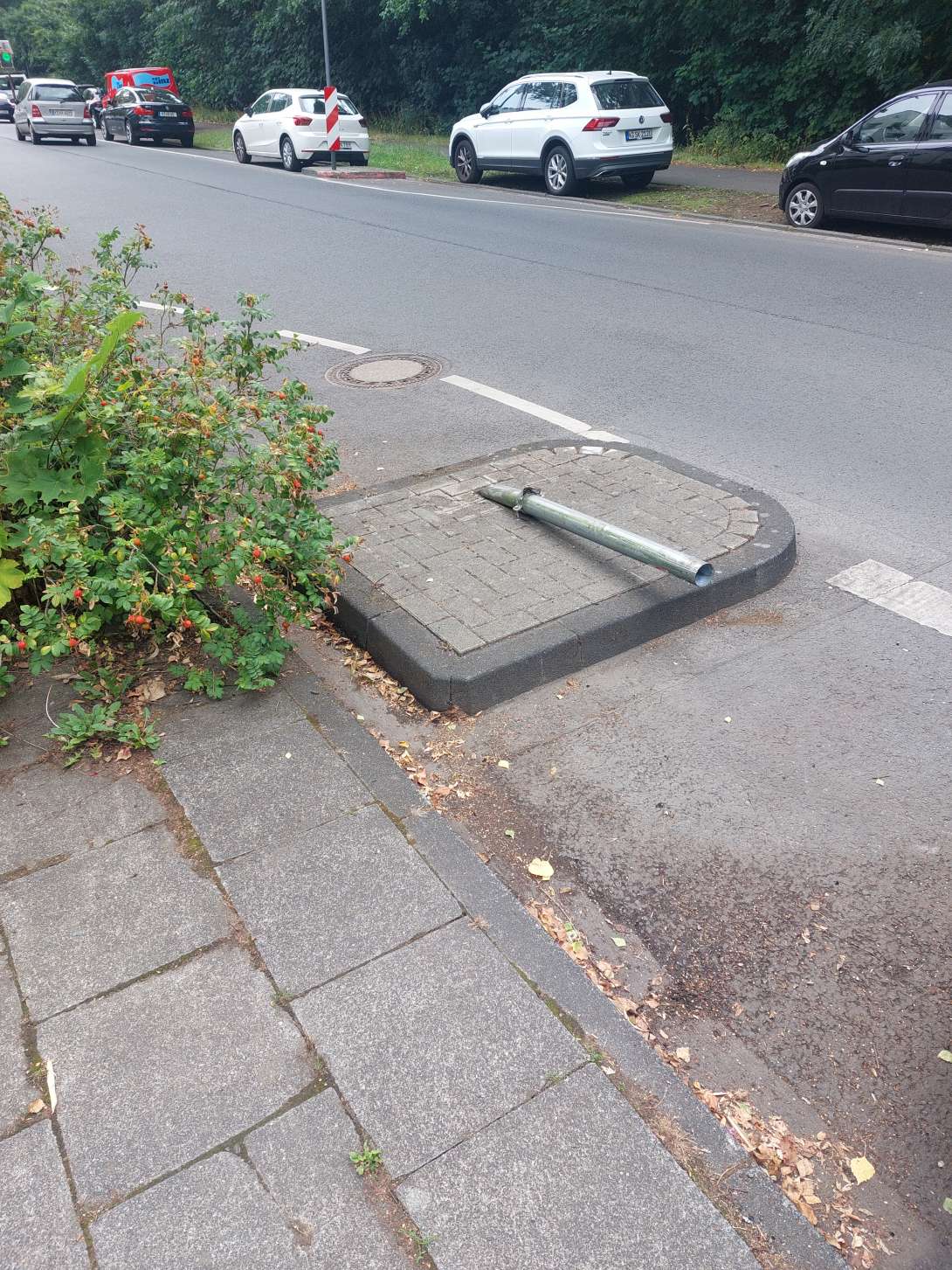 Bild zu gemeldetem Anliegen vom *2025-07-11 12:33:28