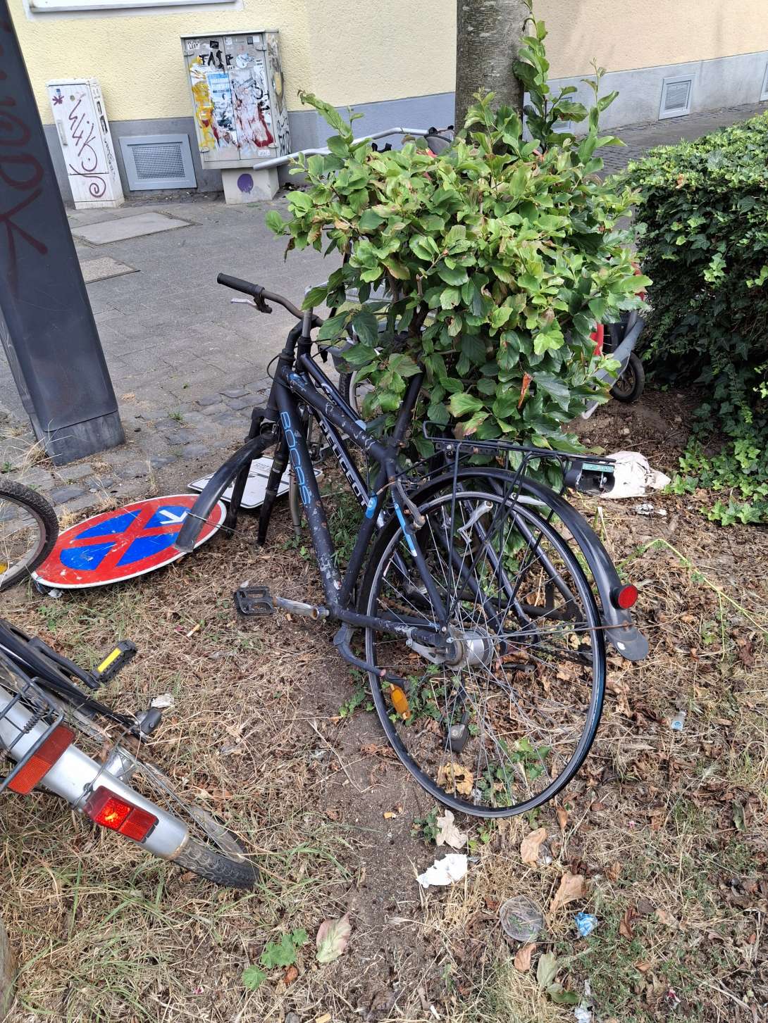 Schrottfahrräder
