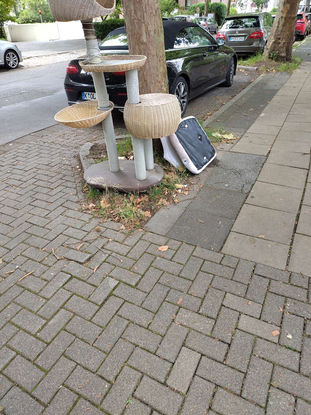 Bild zu gemeldetem Anliegen vom *2025-07-28 10:59:54
