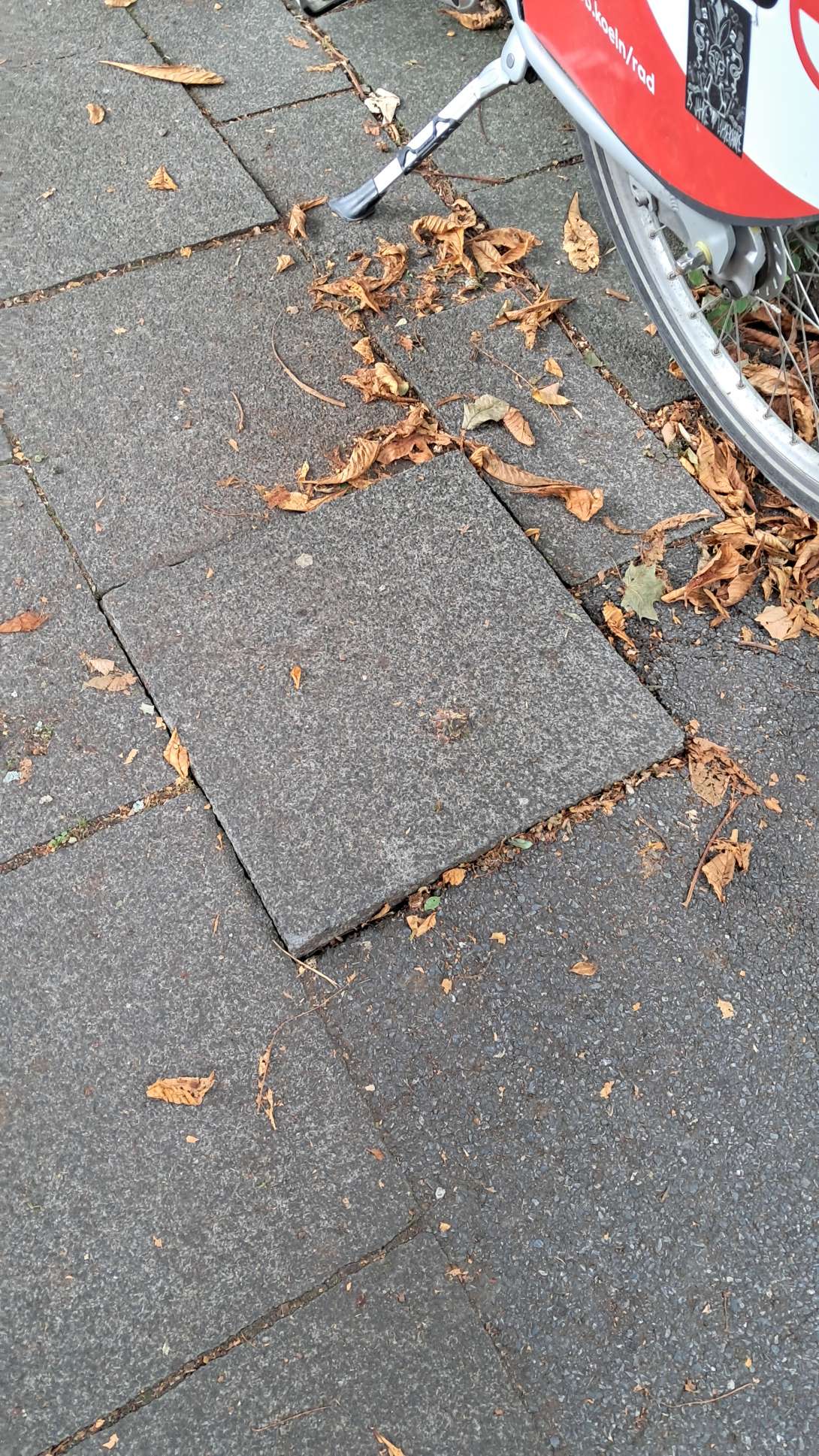 Bild zu gemeldetem Anliegen vom *2025-07-13 06:31:34