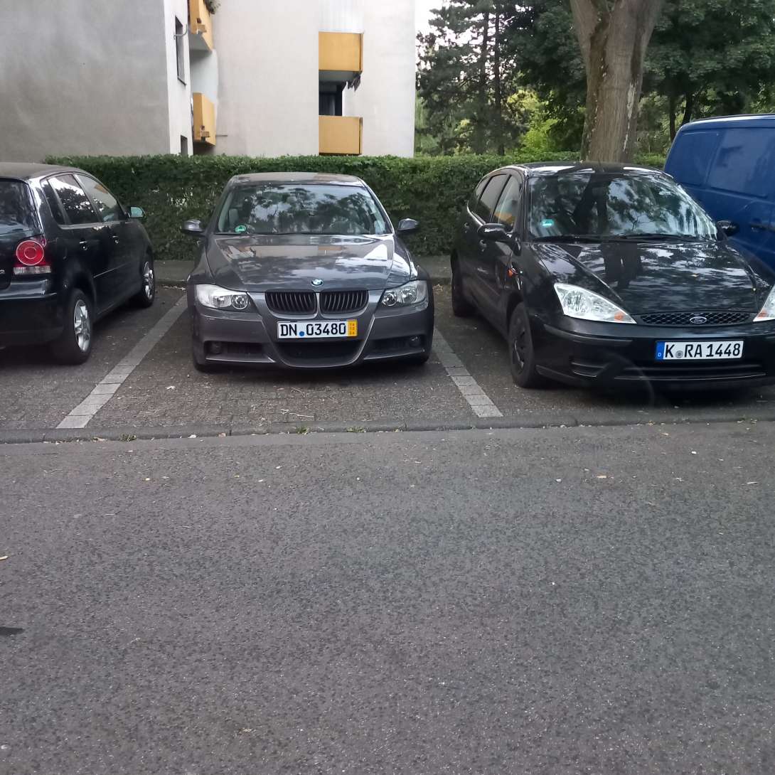 Bild zu gemeldetem Anliegen vom *2025-07-02 12:36:37